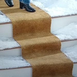 🆕ice carpet outdoor runner(2)